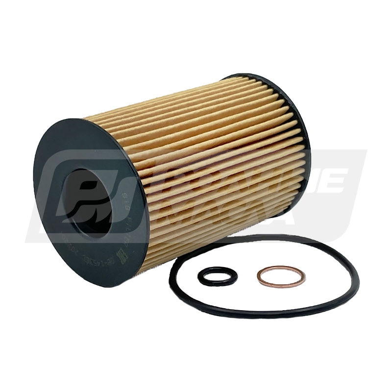 BIG FILTER GB-1453EC (HU8007Z, BMW 11425A33C42) GB1453EC